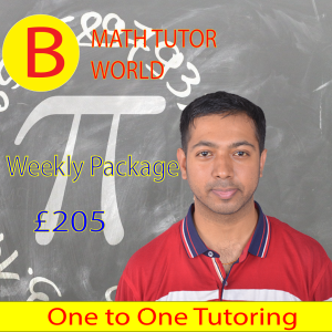 One to One Tuition Class Weekly